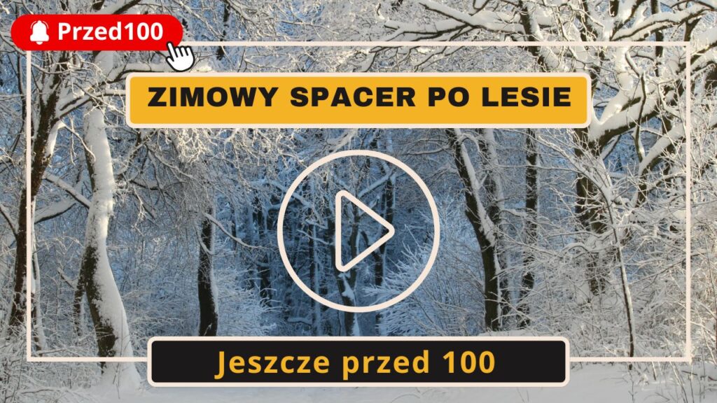 Spacer zimowy