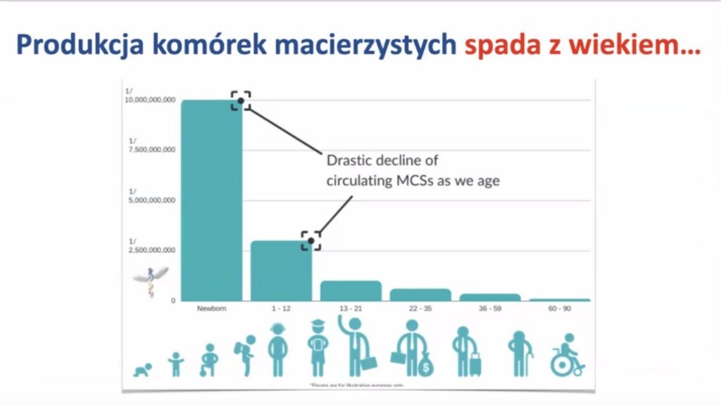 Produkcja komórek macierzystych spada z wiekiem