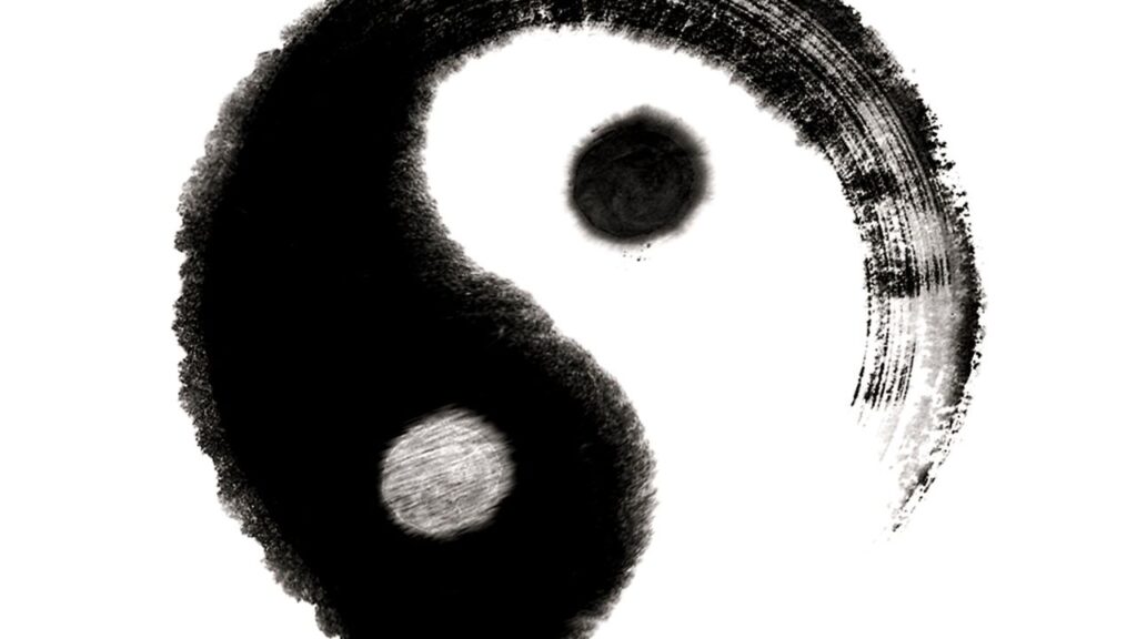 symbol yin-yang - dwa bieguny tworzą całość]