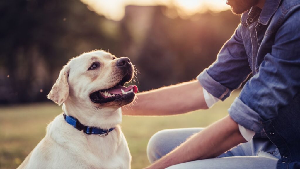 obraz człowieka opiekującego się zwierzęciem jako symbol dobrej karmy